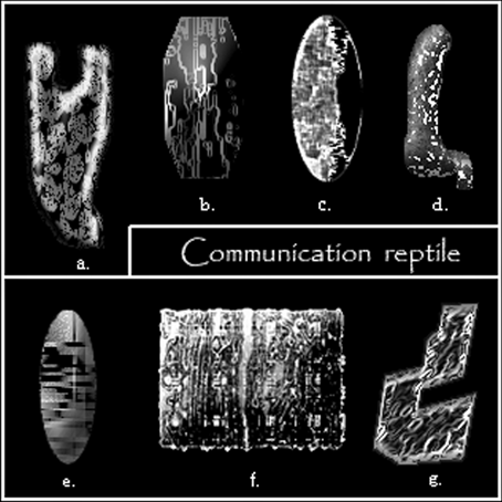 Communication reptile