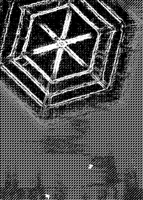 ΐ̐WU