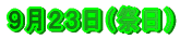 �P�O���T��(���j