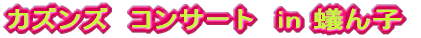 �J�Y���Y�@�R���T�[�g�@in �a��q